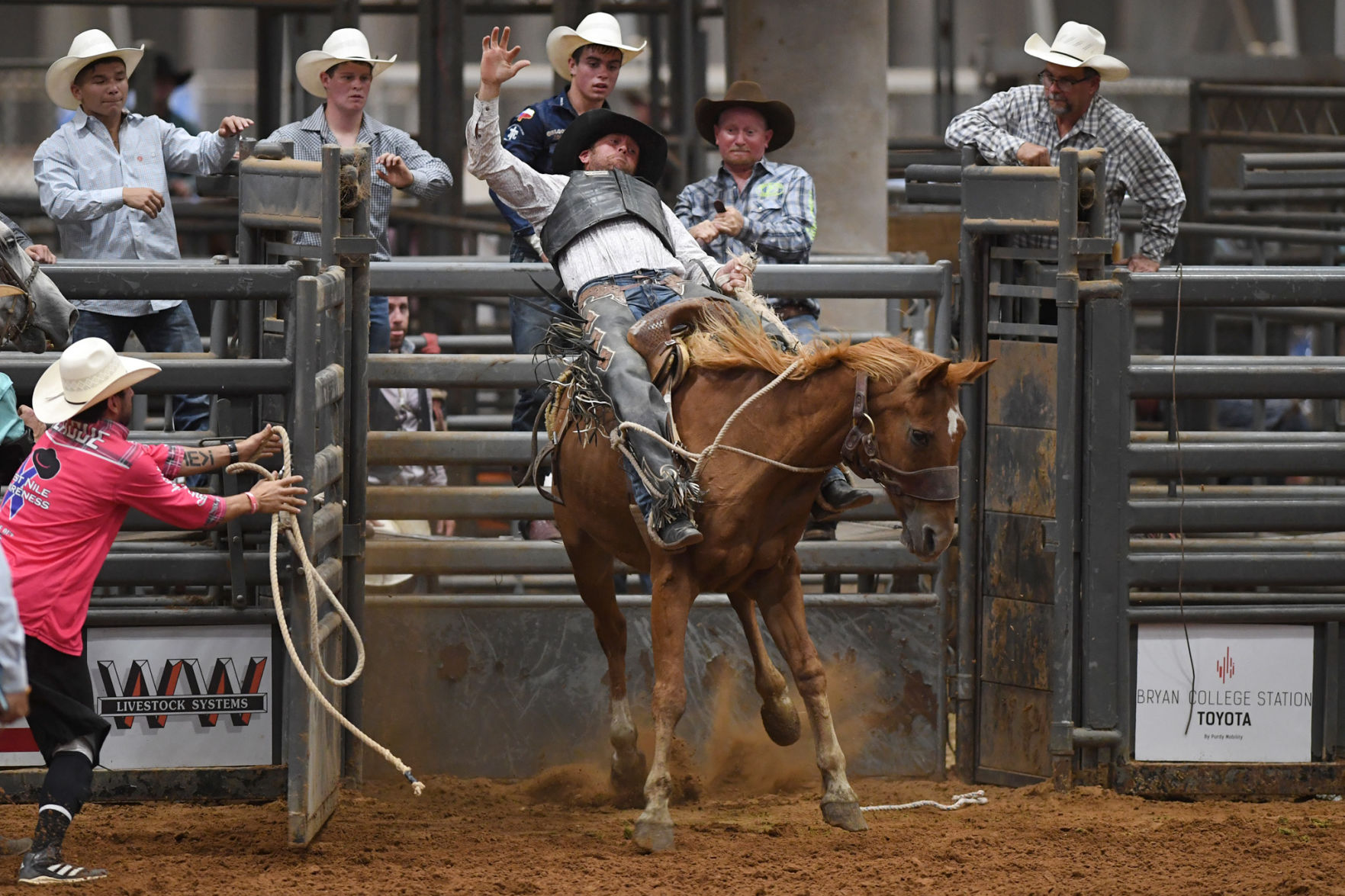 Brazos Valley Fair and Rodeo